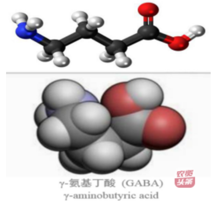 微信圖片_20250510203623.png